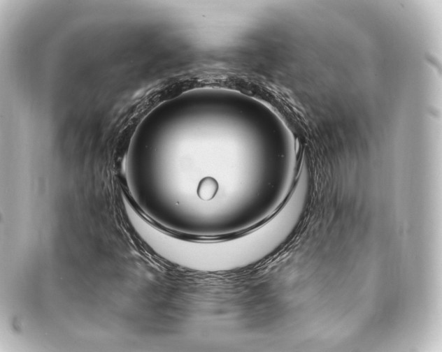 X0000094371445200711021520