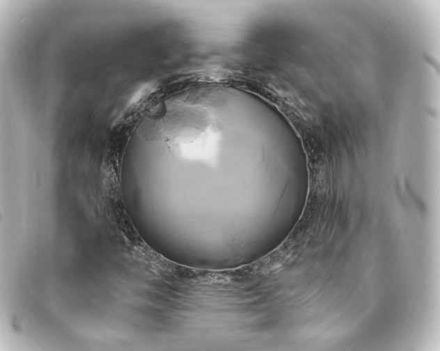 X0000094371446200711021520