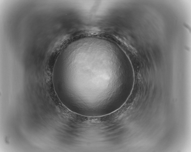 X0000094371447200711021520
