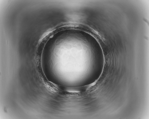 X0000094371448200711021520
