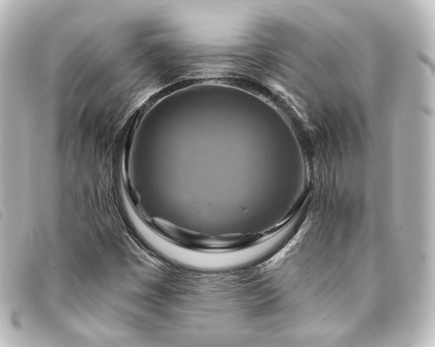 X0000094371449200711021520