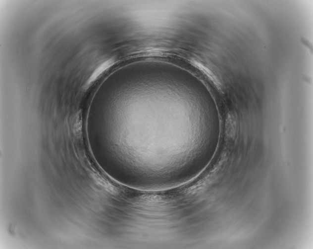 X0000094371450200711021520