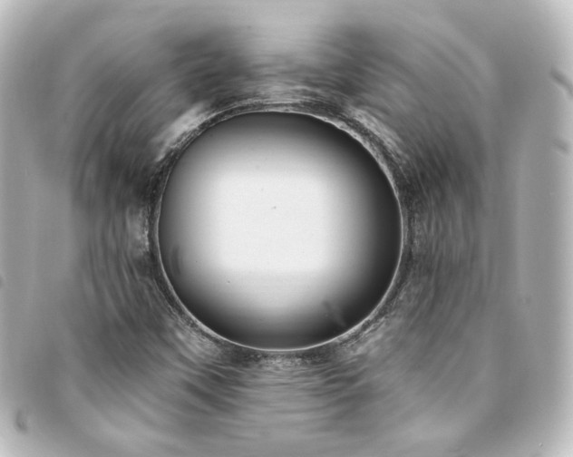 X0000094371451200711021520