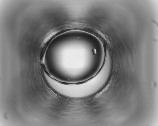 X0000094371453200711021520