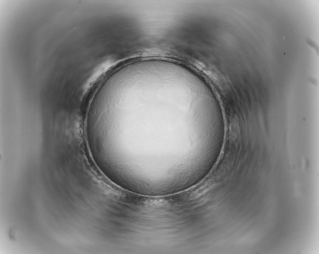 X0000094371454200711021520