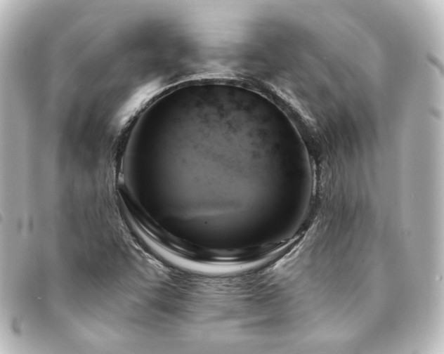 X0000094371455200711021520