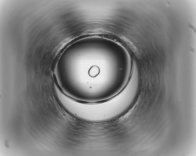 X0000094371457200711021520