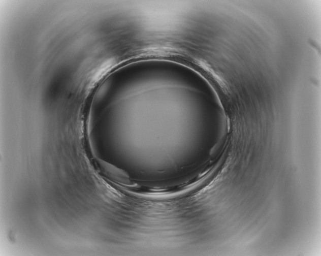 X0000094371459200711021520