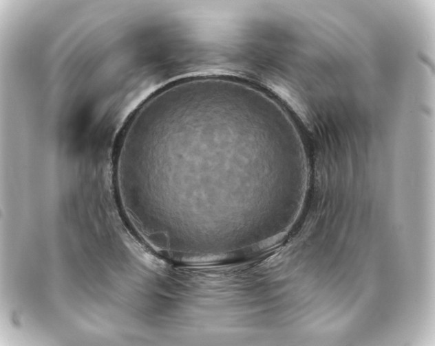X0000094371460200711021520