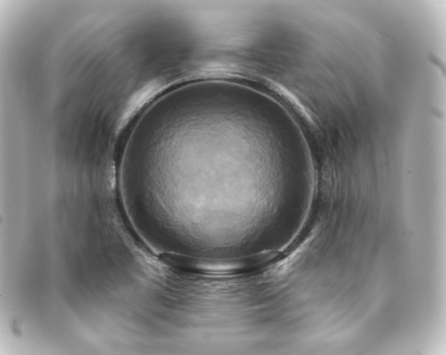 X0000094371461200711021520