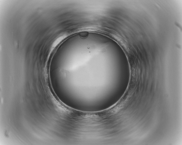 X0000094371466200711021520