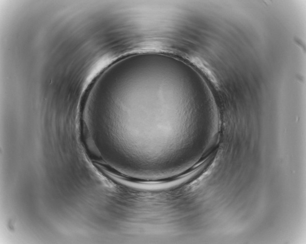 X0000094371469200711021520