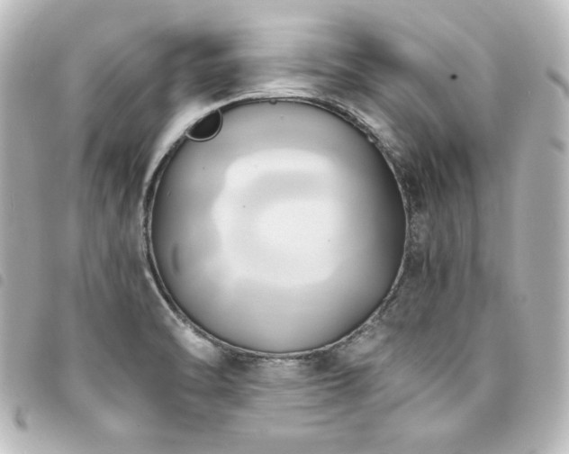 X0000094371470200711021520