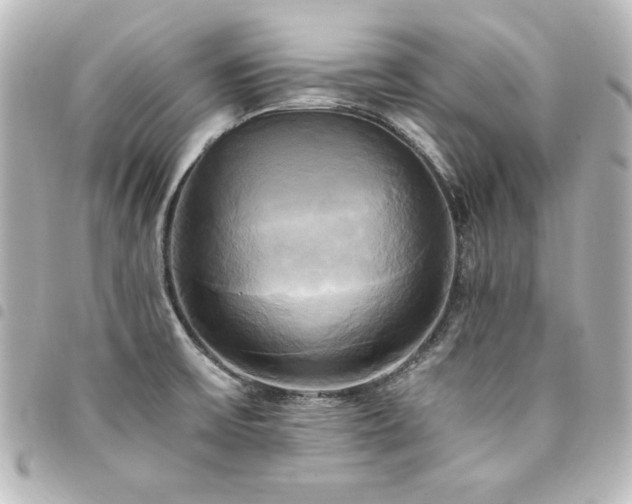 X0000094371475200711021520
