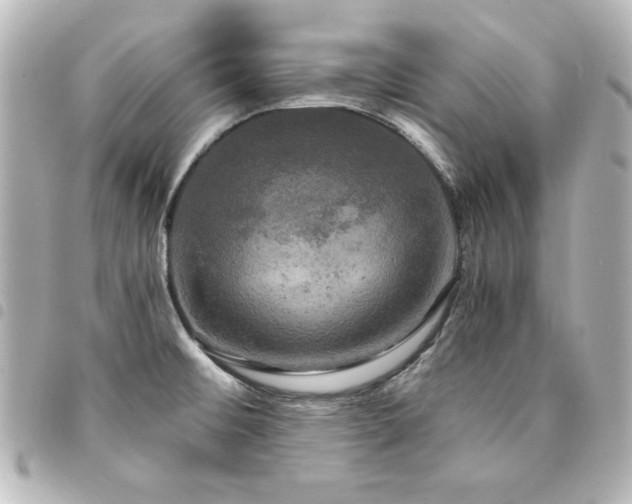 X0000094371476200711021520