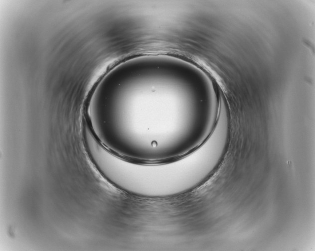 X0000094371477200711021520