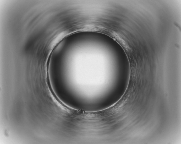X0000094371479200711021520