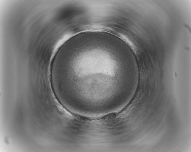X0000094371480200711021520
