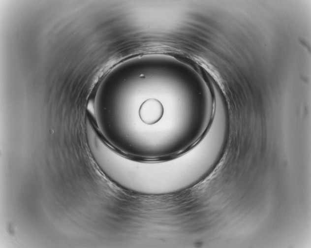 X0000094371481200711021520
