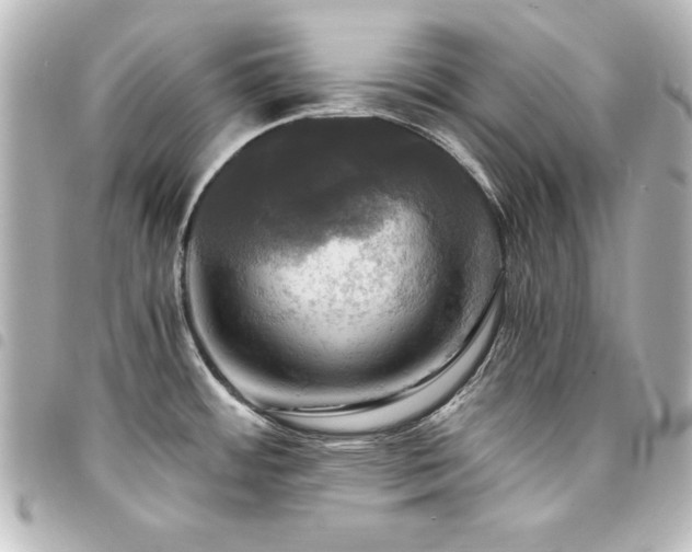 X0000094371484200711021520