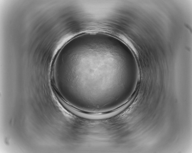X0000094371485200711021520