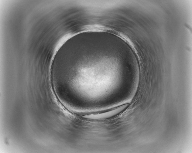 X0000094371488200711021520