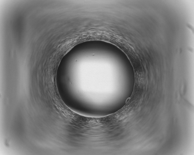 X0000094371489200711021519