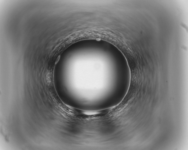X0000094371490200711021519