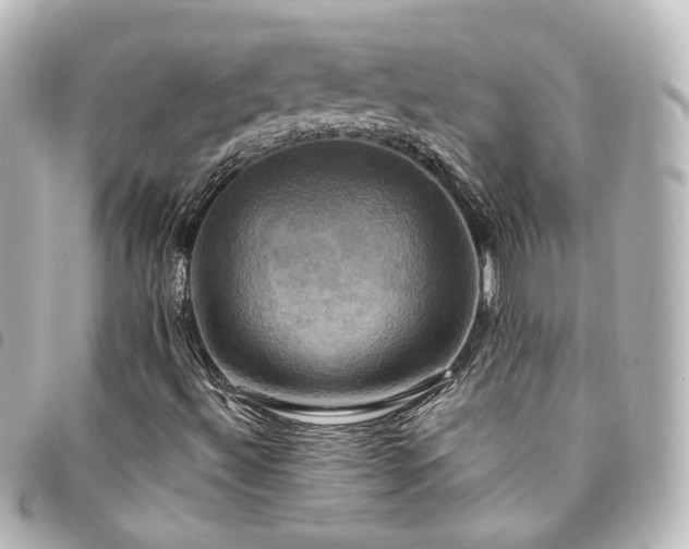 X0000094371492200711021519