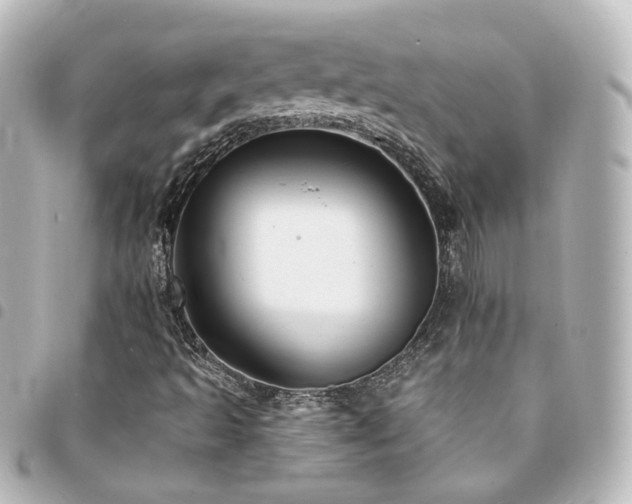 X0000094371493200711021519