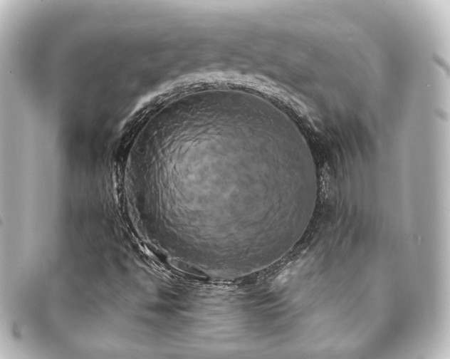 X0000094371494200711021519
