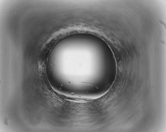 X0000094371495200711021519