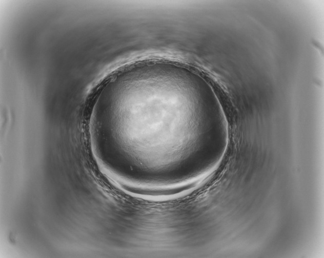 X0000094371496200711021519