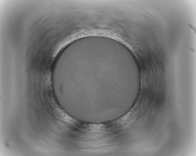 X0000094371498200711021519