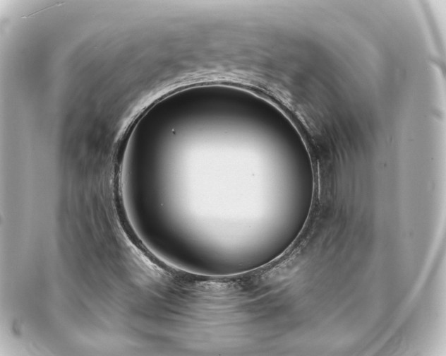 X0000094371500200711021519
