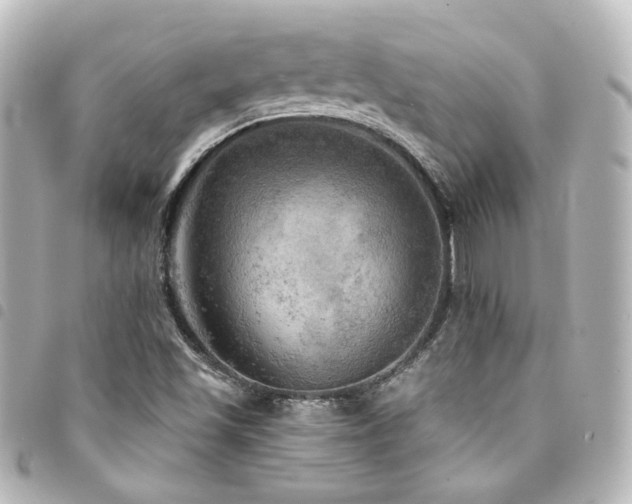 X0000094371501200711021519