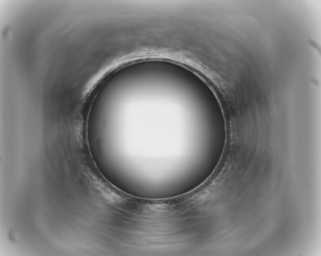 X0000094371502200711021519