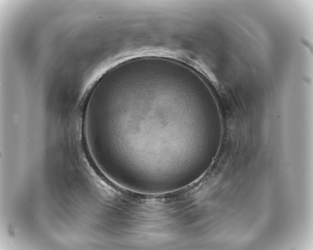 X0000094371504200711021519