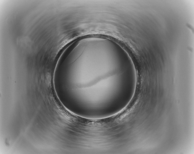 X0000094371505200711021519