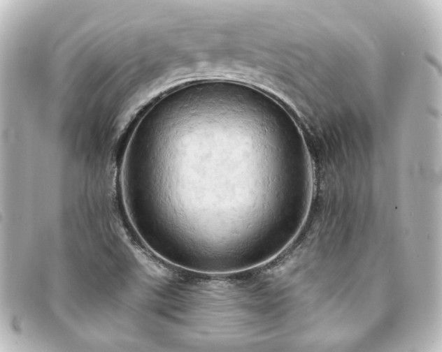 X0000094371507200711021519