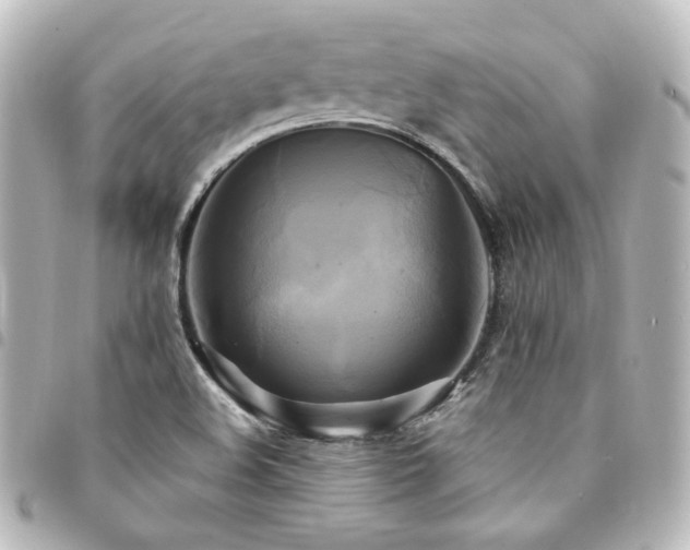 X0000094371508200711021519