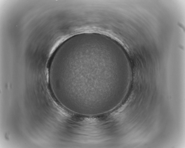 X0000094371509200711021519