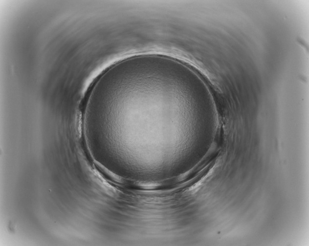 X0000094371510200711021519