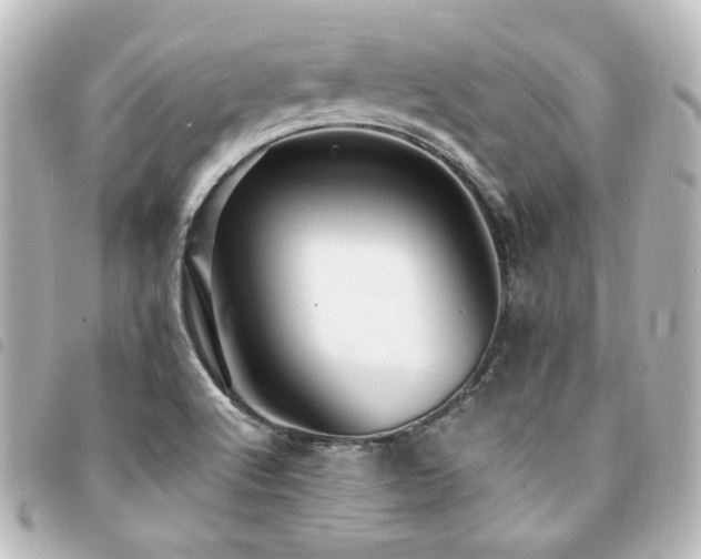 X0000094371512200711021519