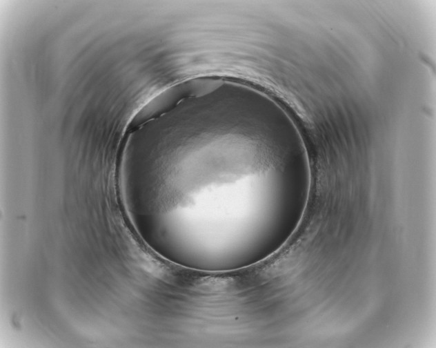 X0000094371513200711021519