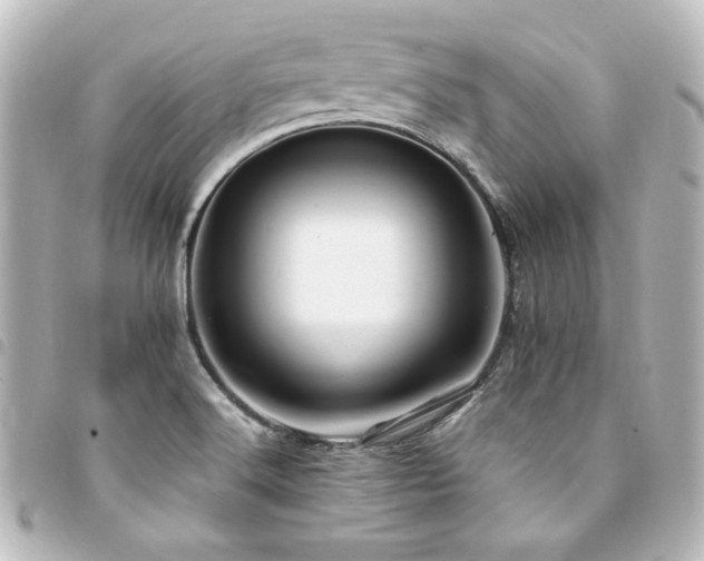 X0000094371516200711021519