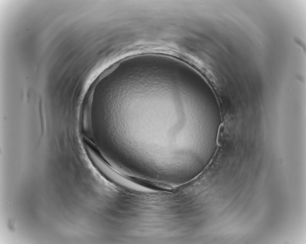 X0000094371520200711021519