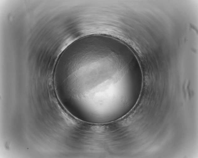 X0000094371521200711021519