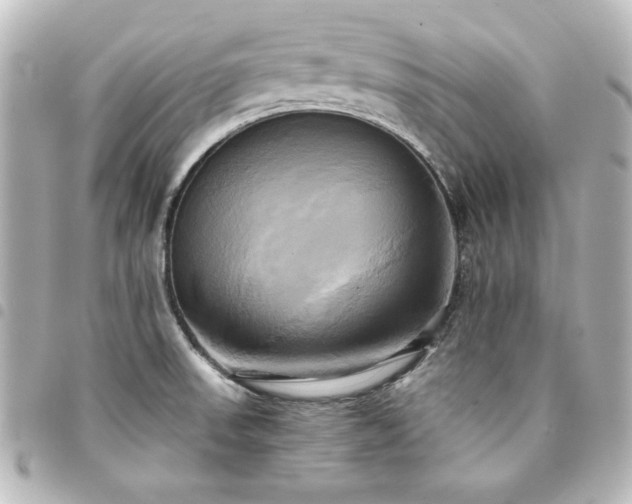 X0000094371523200711021519