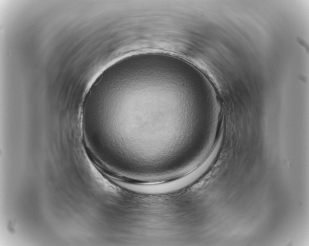 X0000094371524200711021519